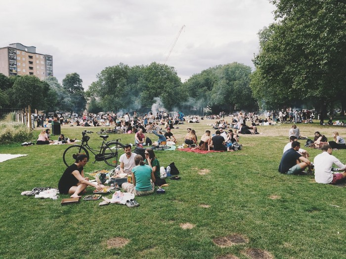 An organic gathering in a crowded public park